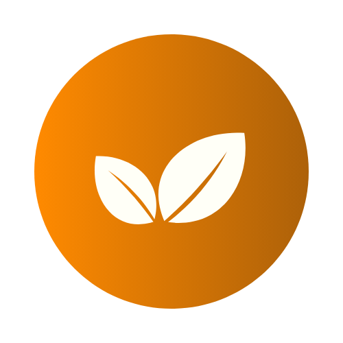 Eco-Focused Approach | About Us | Xero Waste Services | Waste Management Company